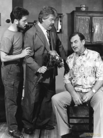 Ohnsorg-Theater Klassiker: Bleibt alles in der Familie [DVD]