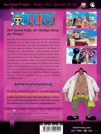 One Piece - TV-Serie - Box 5 (Episoden 131-162) [Blu-Ray]