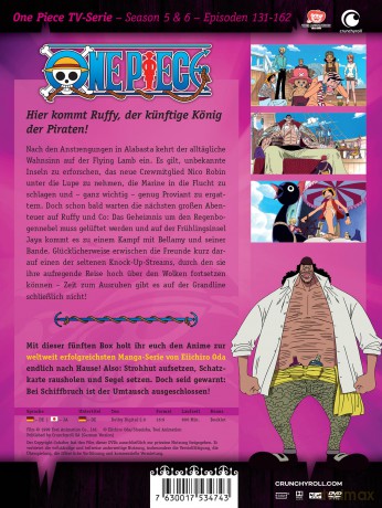 One Piece - TV-Serie - Box 5 (Episoden 131-162) [DVD]