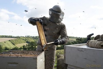 The Beekeeper [DVD]