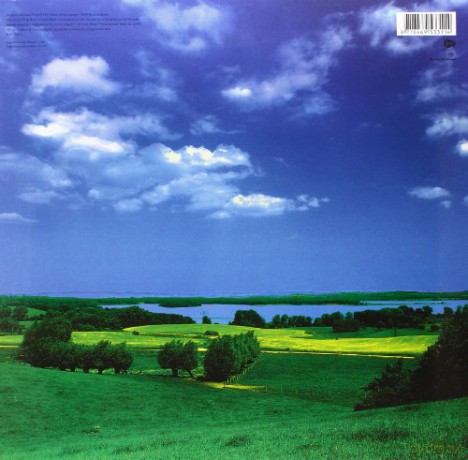 David Bowie: Earthling (Gatefold Sleeve) [Winyl]