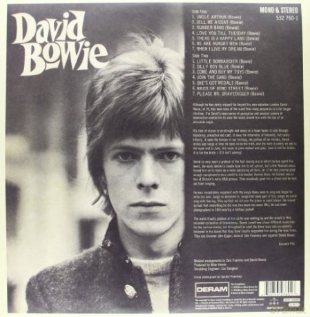 David Bowie: DAVID BOWIE david bowie, vinyl LP [2xWinyl]