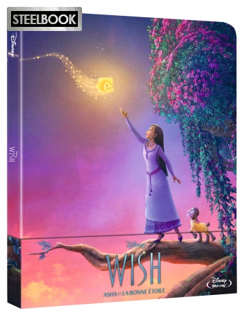 Wish - Asha et la bonne étoile - Steelbook Edition limitée [DVD]