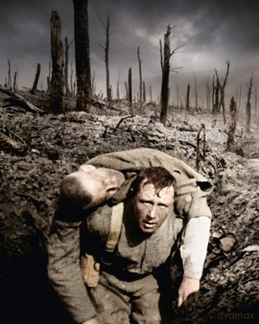 Apocalypse-L'Intégrale [DVD]