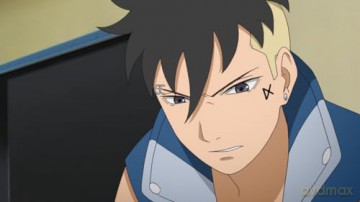Boruto: Naruto Next Generations - Volume 12 (Ep. 205-220) (3 DVDs) [DVD]