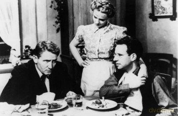 Das siebte Kreuz (OT:' The Seventh Cross) Oscar nominiertes Meisterwerk mit Spencer Tracy [DVD]