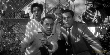 Invasion of the body snatchers- Version restaurée [DVD]