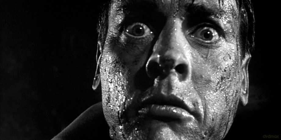Invasion of the body snatchers- Version restaurée [Blu-Ray]