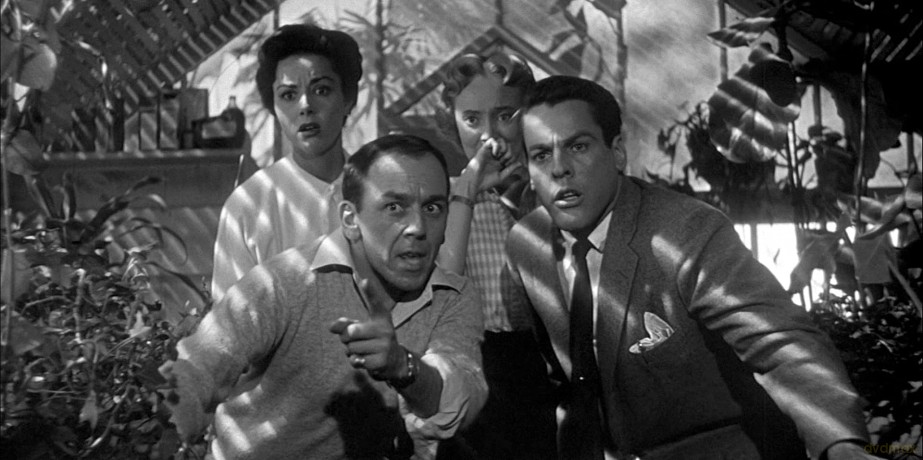 Invasion of the body snatchers- Version restaurée [Blu-Ray]