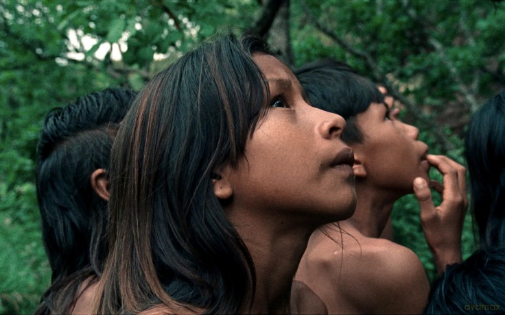 La Fleur de Buriti [DVD]