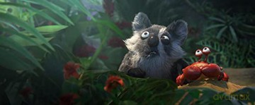 Les As de la Jungle [DVD]