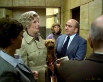 Lou Grant - die komplette 114-teilige preisgekrönte Kult Reporter Serie mit Edward Asner (Pidax Serien-Klassiker) zzgl. Bonus Krimi DVD [DVD]