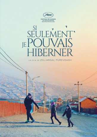Si Seulement Je pouvais hiberner [DVD]