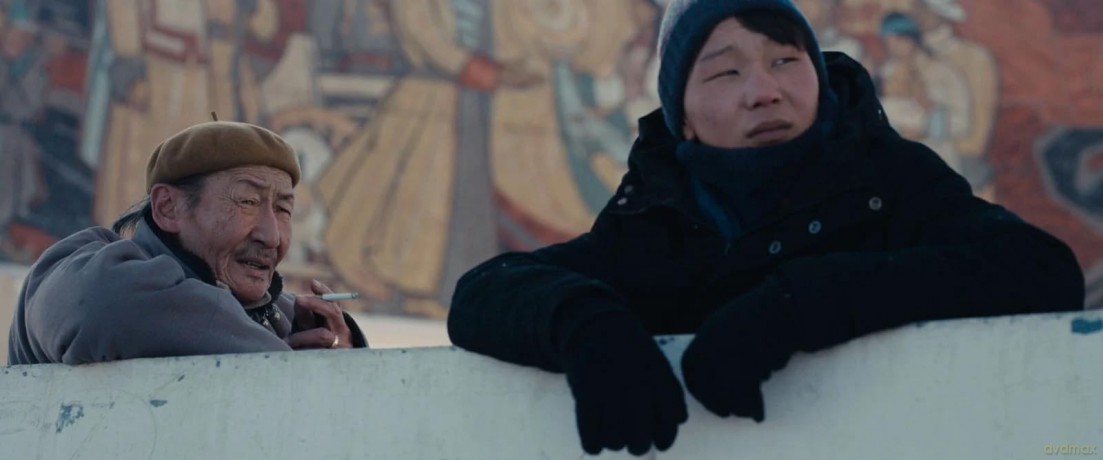 Si Seulement Je pouvais hiberner [DVD]