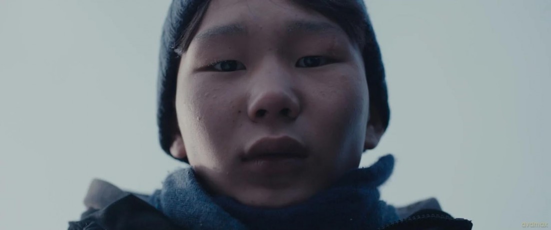 Si Seulement Je pouvais hiberner [DVD]