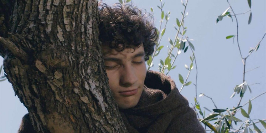 Un Violent Desir DE Bonheur + 3 Films de Clément Schneider [DVD]