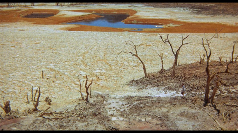 Walkabout [Blu-Ray]