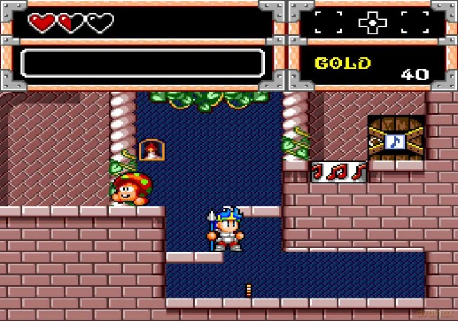 Wonder Boy Collection (PlayStation PS4) [DVD]