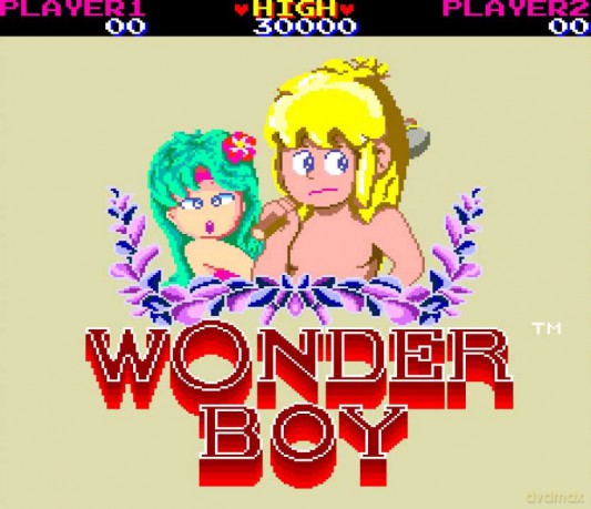 Wonder Boy Collection (PlayStation PS4) [DVD]
