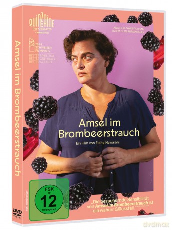 Amsel im Brombeerstrauch [DVD]