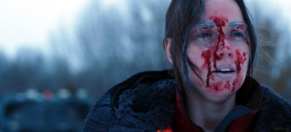 Blood and Snow [DVD]