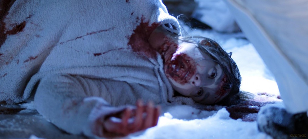 Blood and Snow [DVD]