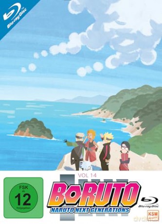 Boruto: Naruto Next Generations - Volume 14 (Ep. 233-246) (3 Blu-rays) [Blu-Ray]