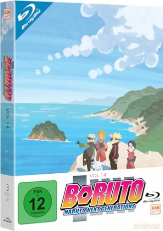 Boruto: Naruto Next Generations - Volume 14 (Ep. 233-246) (3 Blu-rays) [Blu-Ray]