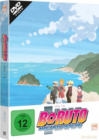 Boruto: Naruto Next Generations - Volume 14 (Ep. 233-246) (3 DVDs) [DVD]