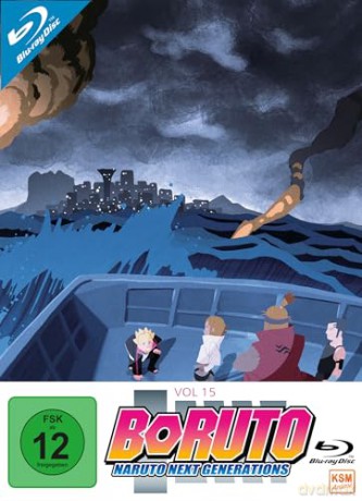 Boruto: Naruto Next Generations - Volume 15 (Ep. 247-260) (3 Blu-rays) [Blu-Ray]