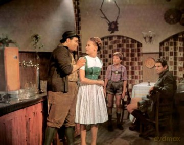 Das Mädel aus dem Böhmerwald (Filmjuwelen) [DVD]
