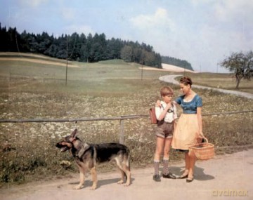 Das Mädel aus dem Böhmerwald (Filmjuwelen) [DVD]