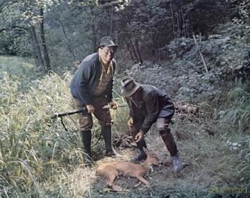 Das Mädel aus dem Böhmerwald (Filmjuwelen) [DVD]