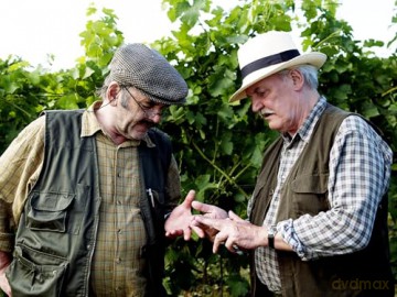 Der Winzerkönig - Die komplette Staffel 1 (Fernsehjuwelen) [DVD]