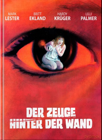 Der Zeuge hinter der Wand - Diabolisch [Blu-Ray]