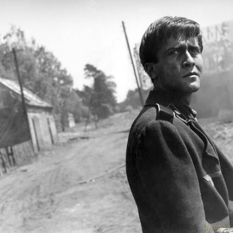 Die Abenteuer des Werner Holt (DEFA Filmjuwelen) [DVD]