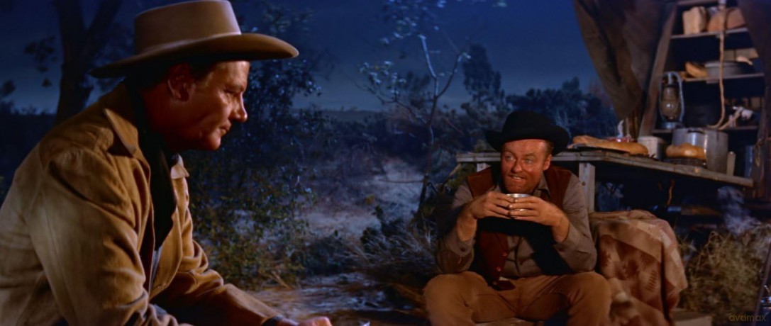 Die Rache des Texaners - Kinofassung (digital remastered) [DVD]