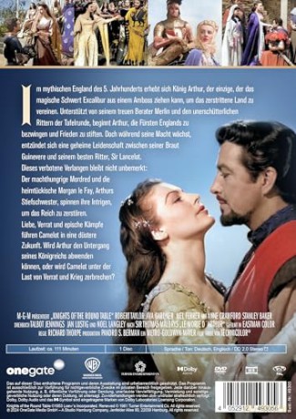 Die Ritter der Tafelrunde [DVD]
