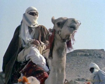 Die Suche nach der Quelle des Nils (Search for the Nile) - Die komplette 6-teilige Abenteuerserie (Pidax Serien-Klassiker) [DVD]
