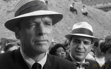 Die jungen Wilden (1961) [DVD]