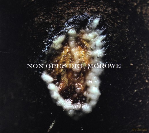 Non Opus Dei Morowe: Dziwki Dwie (digipack) [CD]