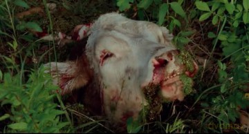 Eyes of Fire - Das Tal des Grauens (düsterer Kult-Horror-Schocker im mystischen Western-Flair) Uncut - in HD remastered [DVD]