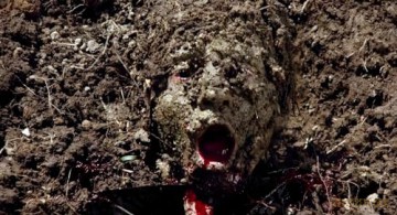 Eyes of Fire - Das Tal des Grauens (düsterer Kult-Horror-Schocker im mystischen Western-Flair) Uncut - in HD remastered [DVD]