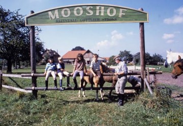 Fest im Sattel: Der Mooshof - Die Komplettbox mit 48 Episoden der deutschen Serie - Erlebe die familiäre Pferdeserie aus den 80er Jahren [DVD]