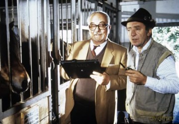 Fest im Sattel: Der Mooshof - Die Komplettbox mit 48 Episoden der deutschen Serie - Erlebe die familiäre Pferdeserie aus den 80er Jahren [DVD]