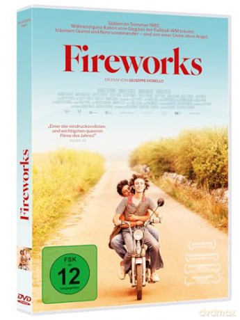 Fireworks (OmU) [DVD]