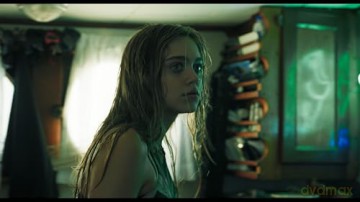 Flycatcher - Survival Has Its Price (deutsch/OV) [DVD]