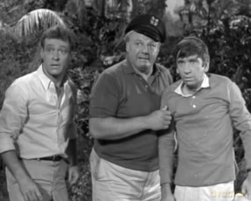 Gilligans Insel [DVD]