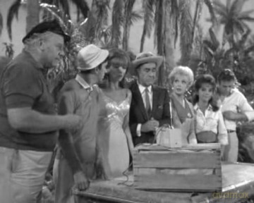 Gilligans Insel [DVD]