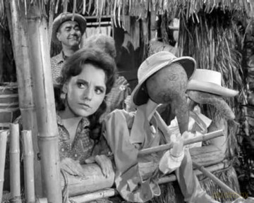 Gilligans Insel [DVD]